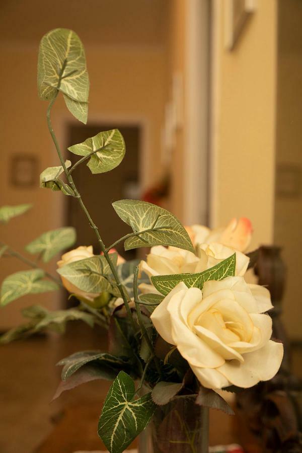 Casa Abba Apartment อาเลสซานเดรีย ภายนอก รูปภาพ